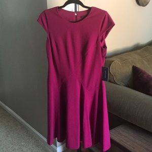 NWT adorable cap sleeve Tommy Hilfiger dress